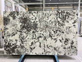 Tourmaline Quartzite